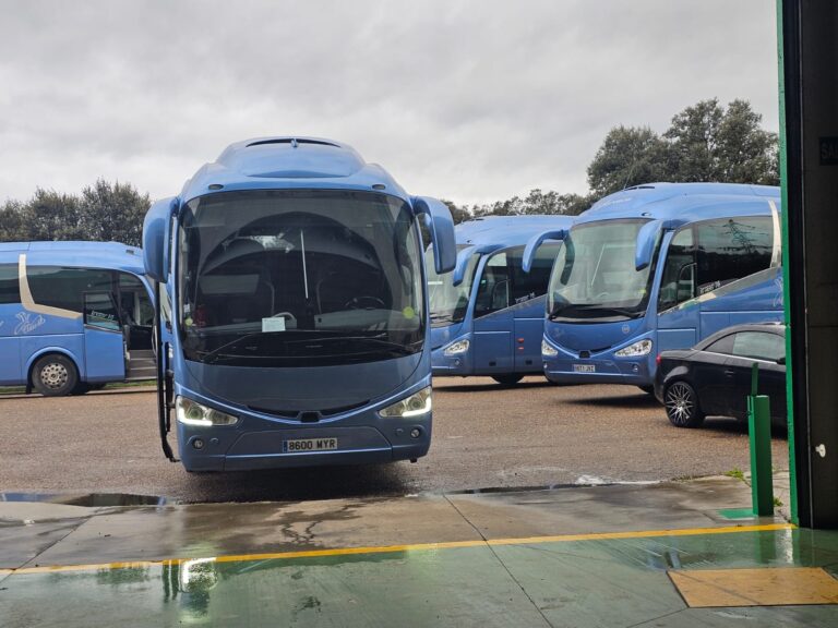 WhatsApp Image 2025-05-23 at 11.56